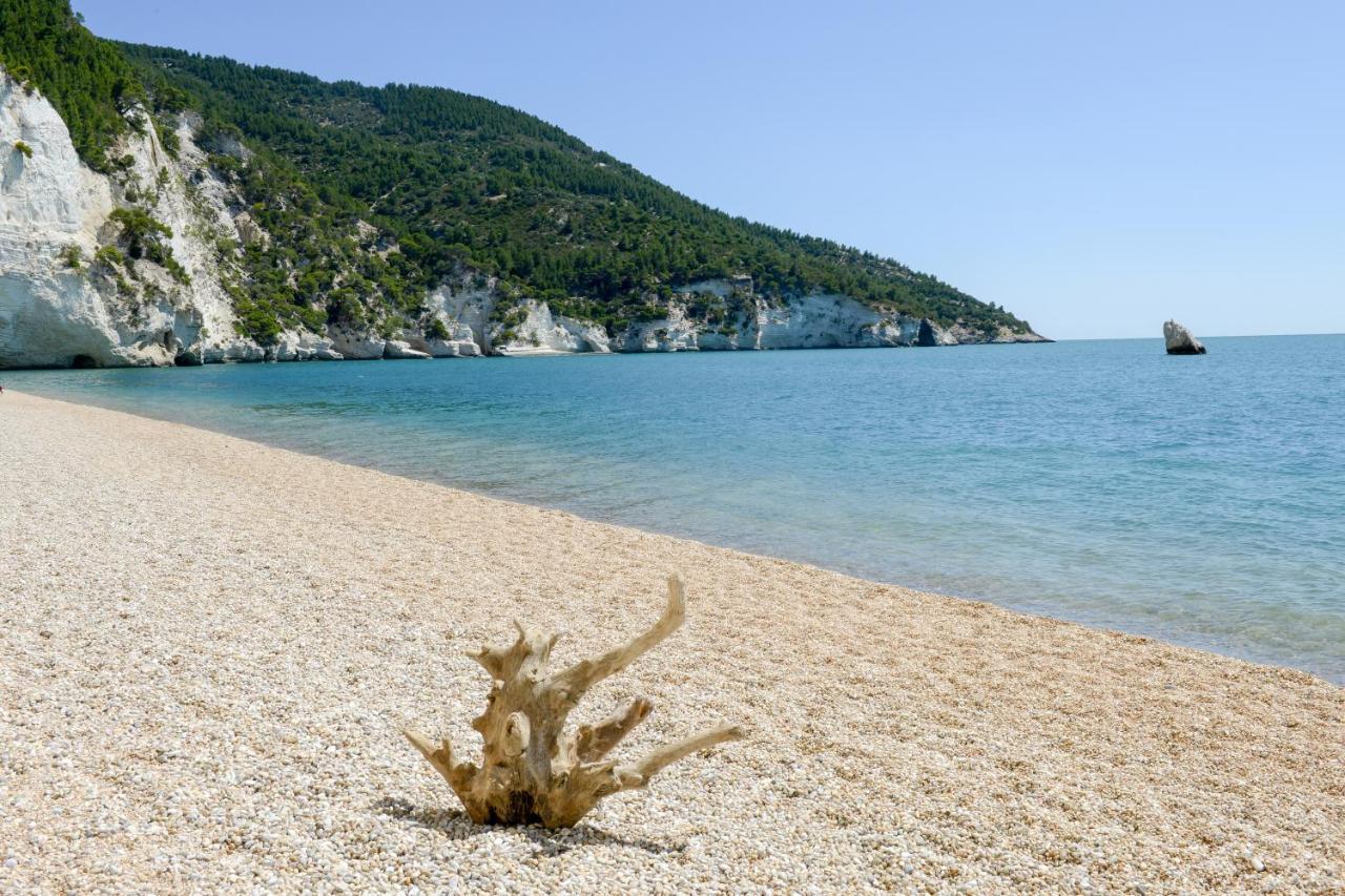 Dimora Storica Fronte Mare Con Terrazzo Privato Βίλα Torre Canne Εξωτερικό φωτογραφία